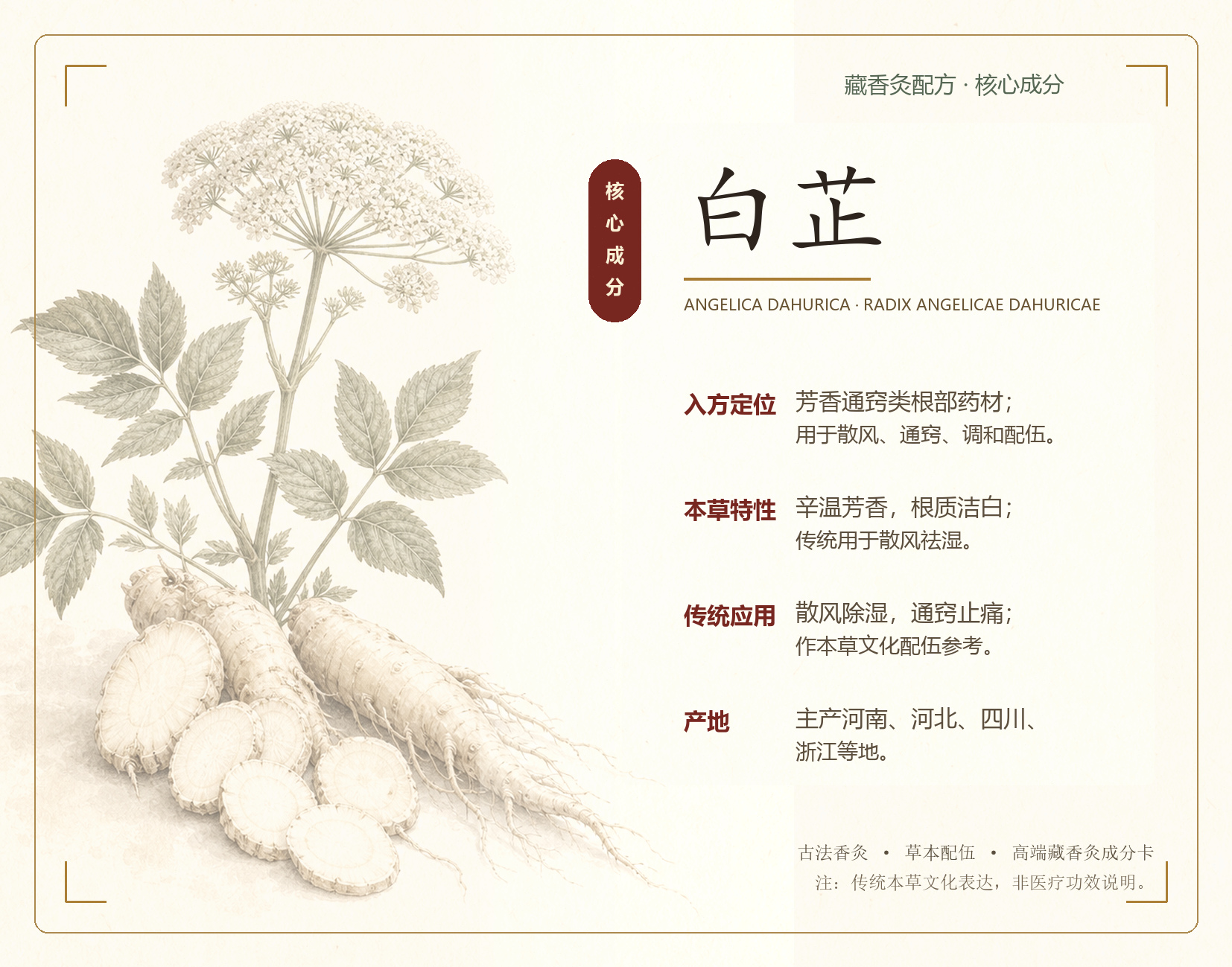 白芷本草成分卡
